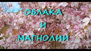 Закарпатье Берегово банош облака и магнолии [upl. by Susy]