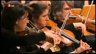 Bach St Matthew Matthäus Passion BWV 244 Herreweghe YouTube [upl. by Pooh]