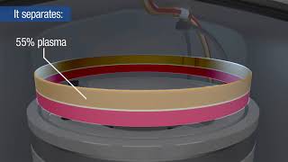 Apheresis donation how does it work [upl. by Unhsiv]