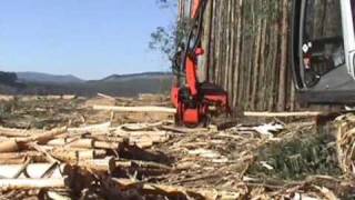 SP 591 LX on Hitachi Zaxis 200  Eucalyptus debarking in Howick South Africa [upl. by Baumbaugh]