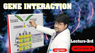 quotGenetics Gene Interaction Explained  Class XII amp NEETquot [upl. by Ecela]