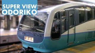 Super View Odoriko  251系スーパービュー踊り子 東京駅発車 [upl. by Rucker]