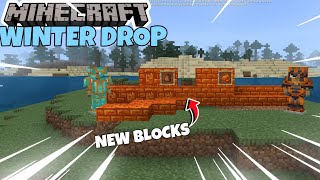 MINECRAFT WINTER DROP ❄️FEATURES  NEW MOBNEW BLOCKSNEW ORE [upl. by Bael]