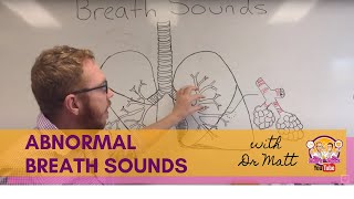 Abnormal Breath Sounds  Respiratory System [upl. by Neeluj498]