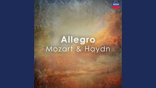 Haydn Piano Trio in F HXV No 39 3 Allegro [upl. by Tnert193]