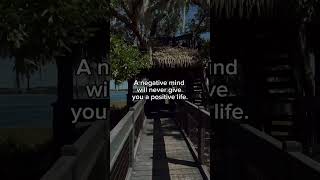 Negativity Limits Growth negativity positivity positivemind changeyourlife inspire motivate [upl. by Walley]