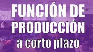 Función de producción a corto plazo [upl. by Mair]