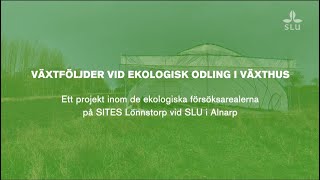 Växtföljder vid ekologisk odling i växthus [upl. by Nagap178]