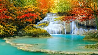 MUSIC CURES THE SOUL amp CALMS THE NERVOUS SYSTEM🌿Piano Music amp Waterfall Sounds to Please Your Heart [upl. by Keyek607]