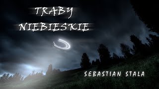 Sebastian Stala  Trąby Niebieskie  Opowieść Grozy audiobook horror creepypasta [upl. by Alboran770]