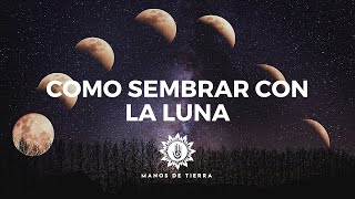 Como Sembrar Con LA LUNA 2024 cultivar con fases lunares calendario lunar [upl. by Hakvir]