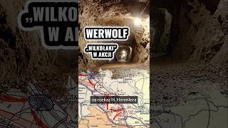 Werwolf  tajna organizacja dywersyjna pilnująca interesów Niemiec na ich dawnych ziemiach historia [upl. by Pelletier502]