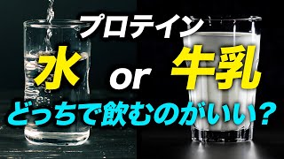 【必見】プロテインを水と牛乳で飲むそれぞれのメリットとデメリット  ビーレジェンド管理栄養士が解説【ビーレジェンド プロテイン】 [upl. by Corbie95]