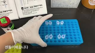 73 RNA prep amp RTPCR 실험 v2 [upl. by Avon405]