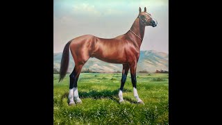 AKHAL TEKE HORSE TURKMENISTANS PRIDE [upl. by Francklin]