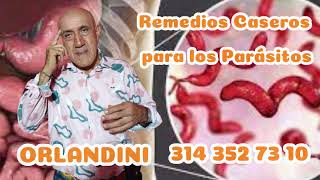 Los Tips del Sacerdote Gnóstico ORLANDINI Hoy te regalamos remedios caseros para los Parásitos [upl. by Cleave]