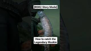 How to catch the Legendary Muskie Fish 🎣 Red Dead Redemption 2 [upl. by Aika]