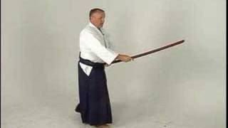 Aikido Sword Fighting KenGi One  Bokken Shomenuchi [upl. by Foah]