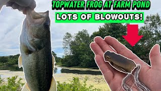 TOPWATER FROG fishing on mossy FARM POND [upl. by Aikar]