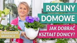 ROŚLINY DONICZKOWE Jak dobrać kształt donicy do roślin domowych Stylowe aranżacje  GREEN CANOE [upl. by Annaerb]