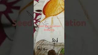 Seed germination drawing phonk music memes art drawing [upl. by Eima]