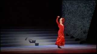 Maria Pages  Riverdance The New Show  Firedance 1996 [upl. by Ayenet983]