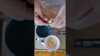 Science and Fine Motor Activity for Preschoolers httpsgigglingeinsteinsetsycom [upl. by Hsaka]