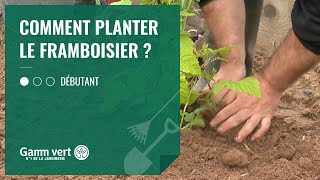 TUTO Comment planter un framboisier   Jardinerie Gamm vert [upl. by Lasonde]