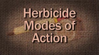 Herbicide Modes Of Action  Family Plot [upl. by Holly-Anne]