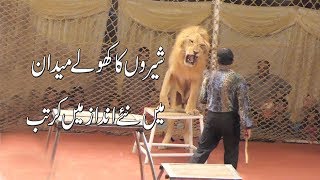 shero ka kartab  lucky irani circus chakwal new 2018 [upl. by Occir]