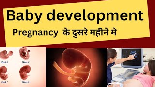 Pregnancy k dusre mhine me baby growth kese or kitni hoti he pregnancy pregnancytips babygrowth [upl. by Ellezaj]