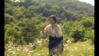 DPRK Music 807 동백꼿 한송이 A bunch of Camellia Flowers [upl. by Eleanora]