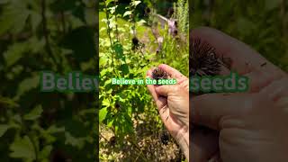 Believe in the Seeds seedstarting newgardener growyourown seed beginninggardening flowers [upl. by Tallou]