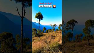 Pangot Nainital Good Morning 🌞 view travel uttarakhand nainital shortsvideo nature hills [upl. by Smada]