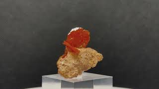 WULFENITE BARITE 1C141 [upl. by Enirac]