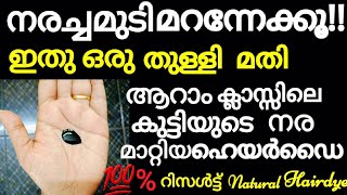 നരച്ചമുടികറുപ്പിക്കാൻഇതൊരുതുള്ളിമതി മുടികാട്പോലെവളരുംNatural hair dyehome remedy for grayhair [upl. by Venditti376]