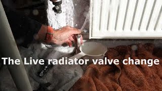 How To Easily Bleed A Radiator [upl. by Chenee]