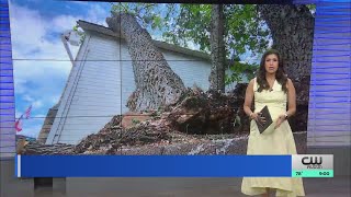 ‘Worst I’ve ever seen’ Cleanup continues in Wimberley following severe storm [upl. by Anivek]