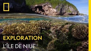 Lîle de Niue un trésor naturel menacé [upl. by Kaja]