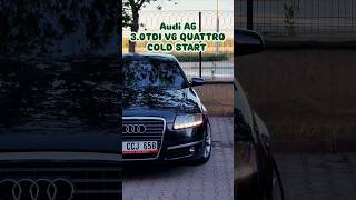 Audi A6 ¦ 30TDI V6 Quattro 🦎 [upl. by Gardie669]