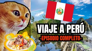 VIAJE A PERÚ  episodio completo meme de gatos [upl. by Thay]