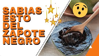 🛑 Zapote Negro Beneficios Y Propiedades “fruta del pudin de chocolate” 🍫 [upl. by Dichy]