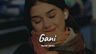 GANI Song 🎵 Lovely❤ song🌹panjabisong 🌹song🎵 🌹youtubevideo song gani 🎵 [upl. by Etteoj]