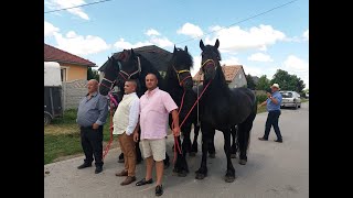 Pesta Bandi fiának Ottónak 27 szülinapja [upl. by Cochard]