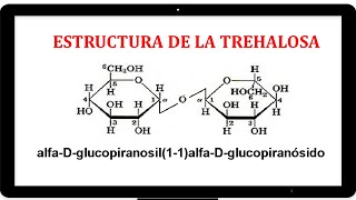 ¿QUE ES LA TREHALOSA NIVEL MEDIOSUPERIOR [upl. by Idur]