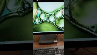 Lenovo idea Centre 27quot AIO Desktop Computer i7 Turbo 16GB 512GB SSD [upl. by Bautram]