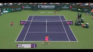 2015 Final Halep Hits Hot Shot [upl. by Einwahs818]