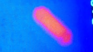 Different Resistor 18V Thermal View [upl. by Jasisa]