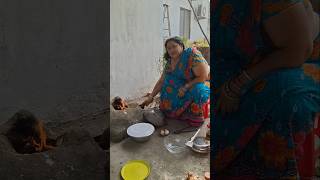 Tempting Fish ChillY😋👌🏻food odiacookingrecipe recipe fish chilly cooking YouTube [upl. by Lezlie]