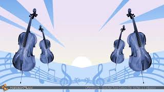 2 Cellos Classical amp Neoclassical Music Mr amp Mrs Cello [upl. by Niajneb464]